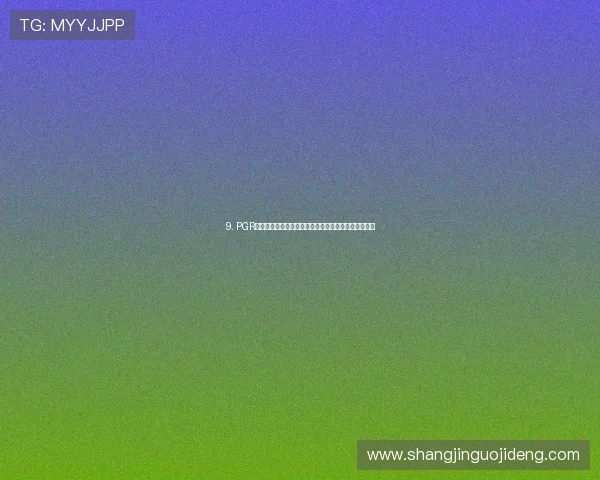 9. PGR游戏下载后常见的安装与配置问题,专家为你详细解答 9. PGR游戏下载后常见的安装与配置问题,专家为你详细解答